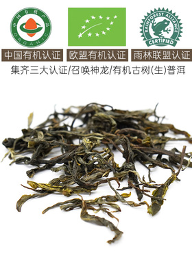 2025有机古树普洱 晒青工艺生茶散茶 50g