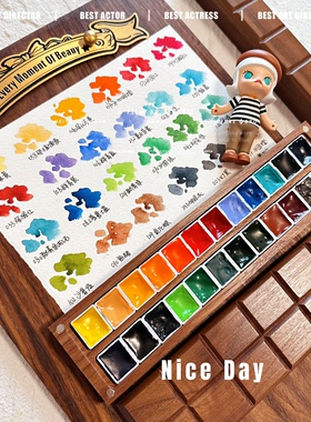 Ds大师级艺术家基础官配24色36色48色水彩颜料分装铁盒新手试色