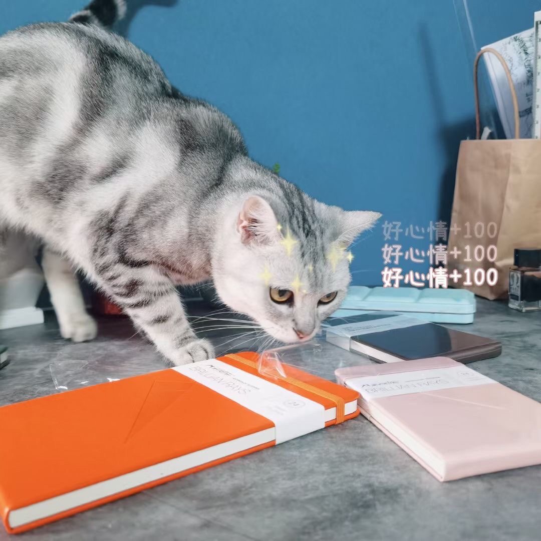 Martigny Radiance pure cotton 200g travel Watercolor Hand book A5 A6 The watercolor portable The pocketin the Electronic Dictionary/Electronic paper book/Stationery , The paper book , Notebook/Notepad  category - from Buy2taobao.com to provide professional Taobao agent buy service