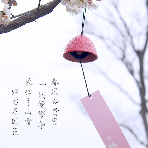 铸铁森系日式樱花吊饰伊朵羽风铃