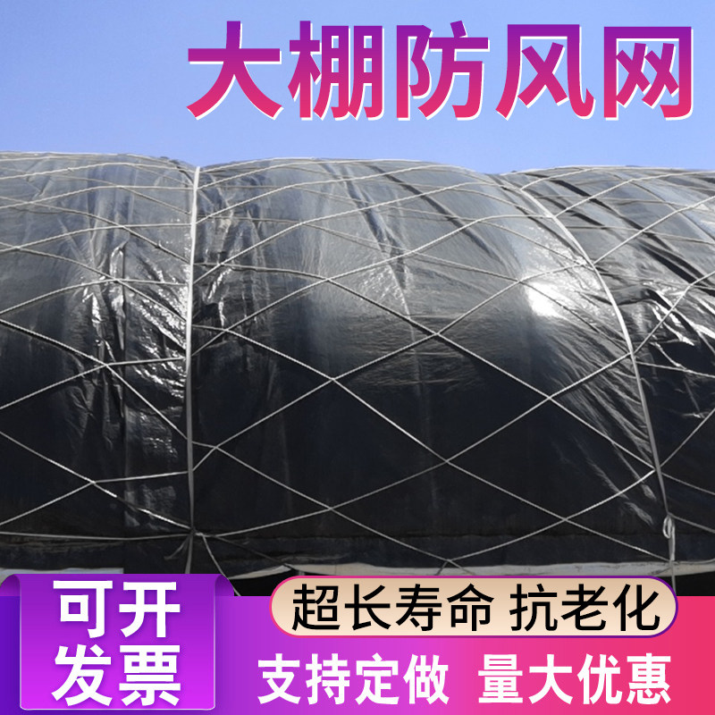 大棚防风网大棚网防护网格网尼龙大孔压膜封垛绳网抗老化种植养殖