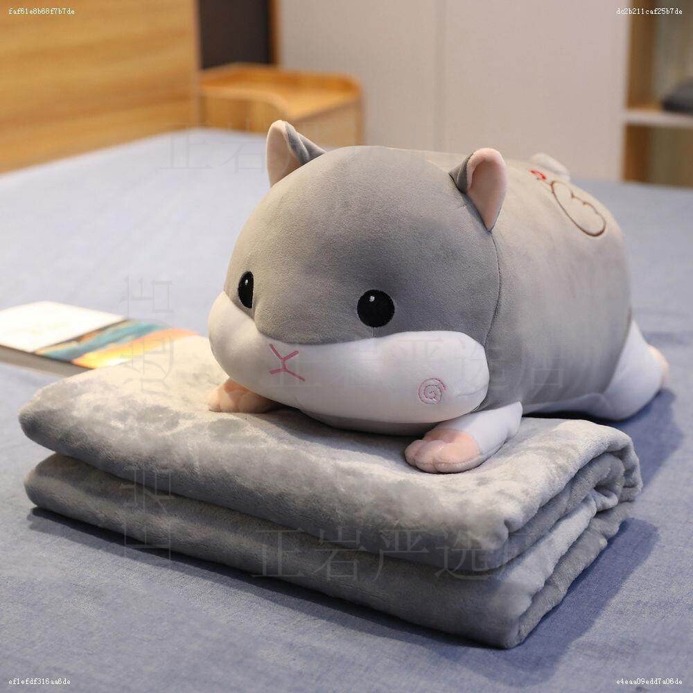 车上抱枕被子两用2025新款抱睡觉夹腿客厅沙发轻奢高级感车载可爱