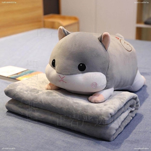 车上抱枕被子两用2025新款抱睡觉夹腿客厅沙发轻奢高级感车载可爱