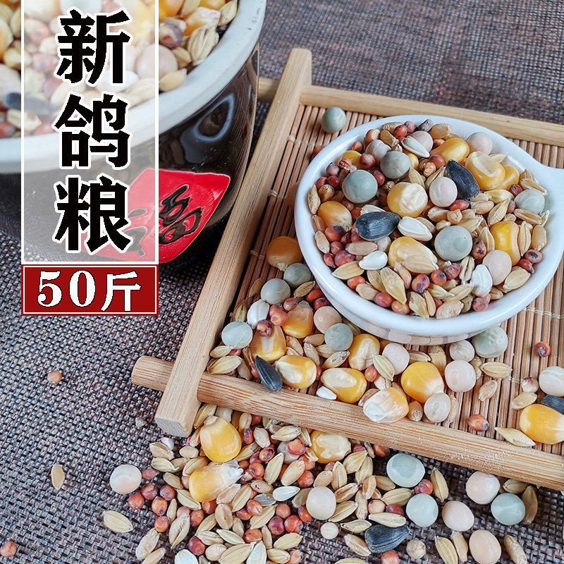 战鸽a级鸽粮玉米营养豌豆肉鸽