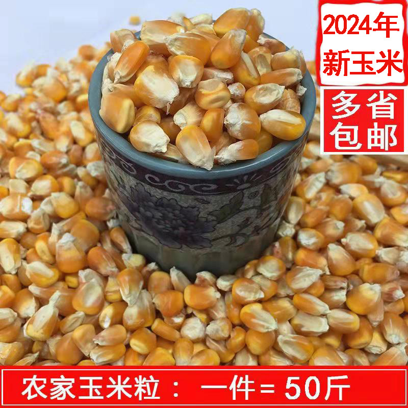 干玉米粒玉米籽鸽粮鸡鸭鹅饲料