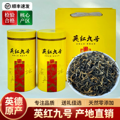 英德红茶英红九号罐装买一送一