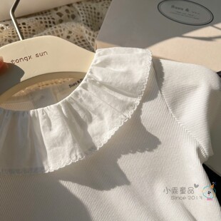 【万能百搭款】韩国女童春秋上衣 针织坑条舒适高弹纯白翻领T恤衫