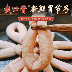 大号冒节子肥肠节子成都特色猪小肠火锅串食材新鲜商用100个/件