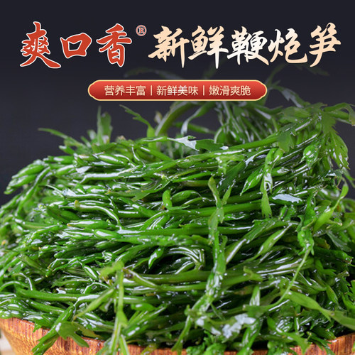 鞭炮笋新鲜马尾藻长寿菜羊栖菜海草火锅串串凉拌菜5包装每包250克 - 封面