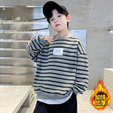 灰绿条纹 灰绿条纹