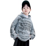 男童加绒卫衣连帽冬款潮牌中大童加厚保暖上衣儿童大男孩冬装童装，童装卫衣/绒衫，摩比熊