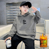 灰绿加绒 灰绿加绒