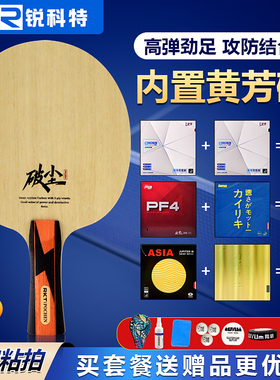 RKT锐科特乒乓球底板高铂力量驭剑外置ALC破尘内置碳素纤维球拍