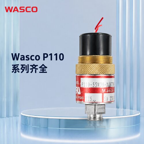 Wasco压力传感器P110-55W3B-X/6729P110-55W3B-X/6728P110-55W3B-
