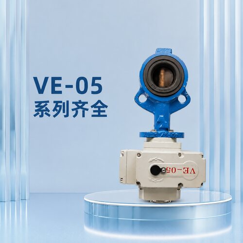 议价5659/16 蝴蝶阀 VE-05 执行器 220V VARB DN2 英寸止回阀