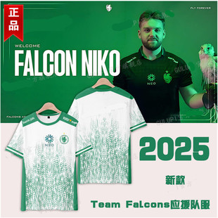 Team t恤定制major Falcons队服m0NESY猎鹰战队服NIKO衣服CSGO短袖