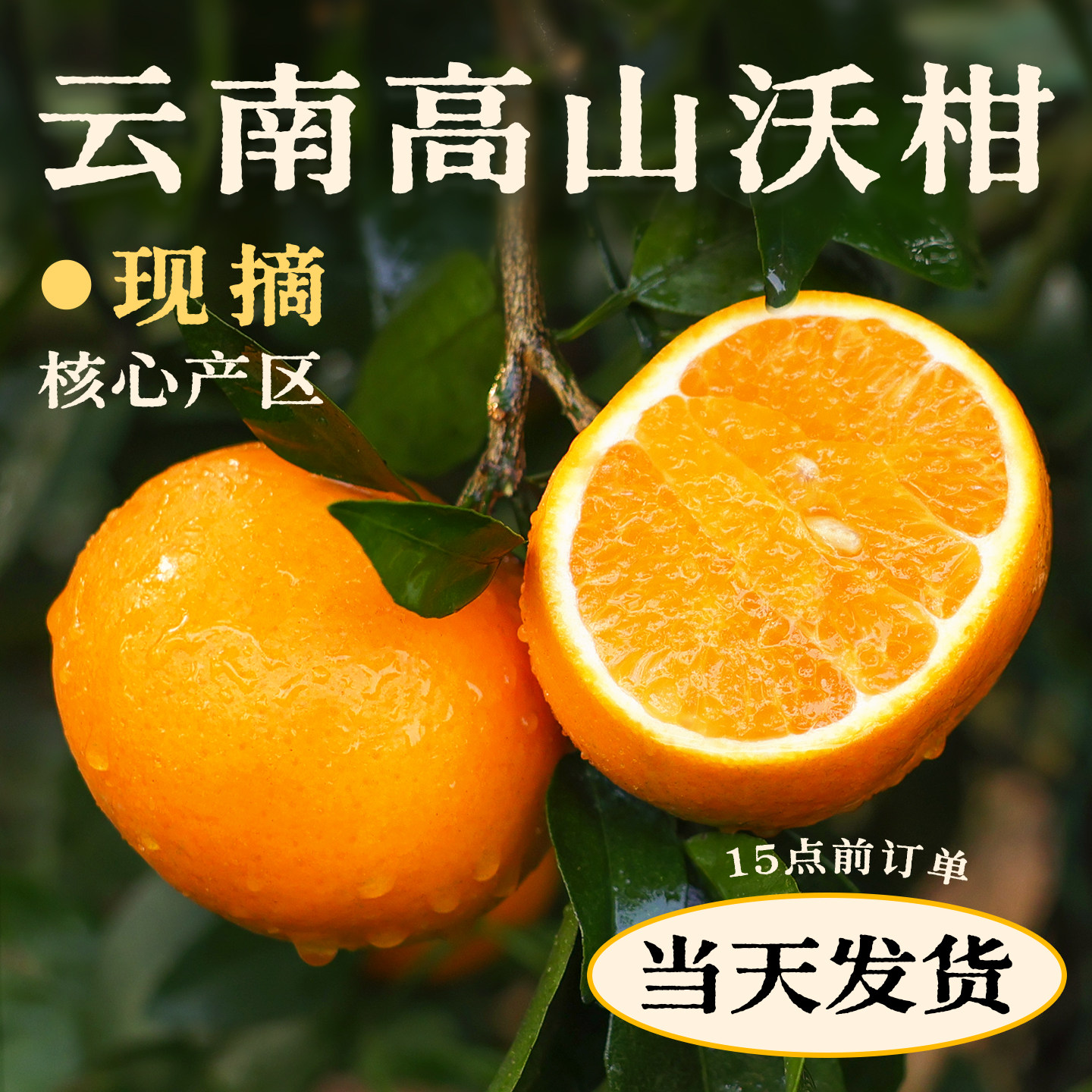 沃柑5斤新鲜水果时令应当季整箱正宗云南一级柑橘桔子橘子包邮
