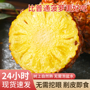 海南金钻凤梨新鲜水果树上熟芒果凤梨香水菠萝大果无眼整箱包邮