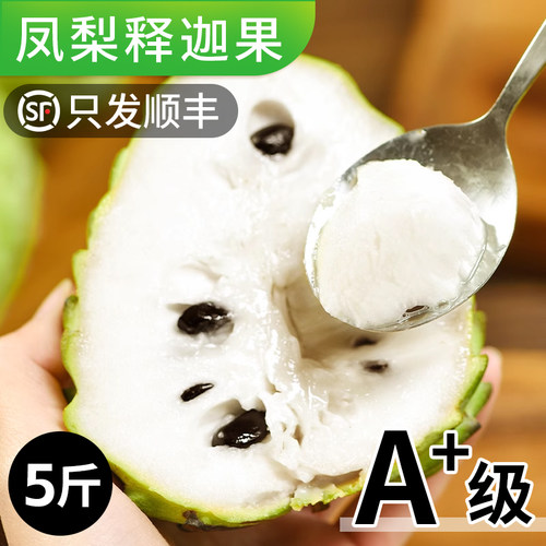 【冰淇淋口感】凤梨释迦果A+品质