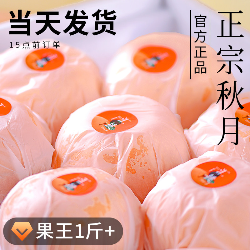正宗秋月梨官方正品当天发货