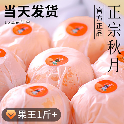 正宗秋月梨官方正品当天发货