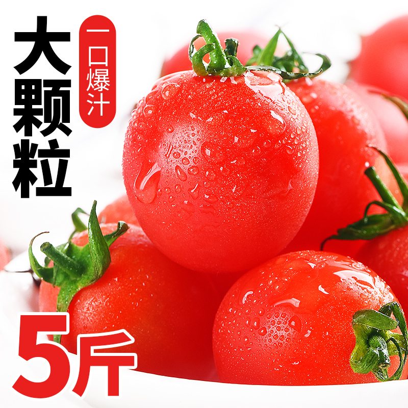 圣女果千禧小番茄5斤新鲜水果当季时令小柿子整箱蔬菜西红柿包邮