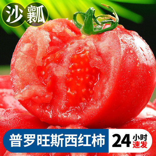 正宗自然熟普罗旺斯西红柿