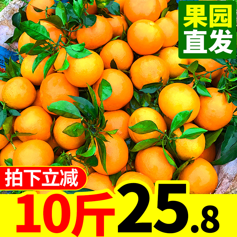 整复外科基础与临床