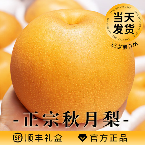 秋月梨官方正品|当天发货