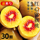 包邮 四川蒲江红心猕猴桃奇异果新鲜孕妇水果弥核胡弥猴桃当季 整箱
