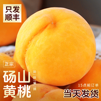 砀山黄桃新鲜水果9斤当季毛桃整箱脆甜油蜜黄肉桃子大果顺丰包邮