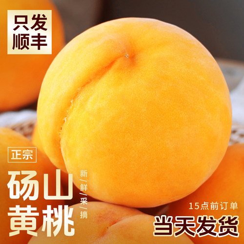 【顺丰当天发货】现摘砀山黄桃！