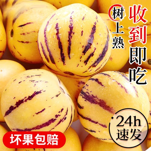 云南人参果，24h速发收到即吃