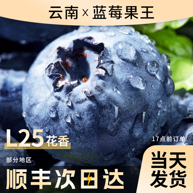 云南蓝莓新鲜水果当季蓝梅鲜果现摘高山怡颗孕妇大果整箱顺丰包邮,水产肉类/新鲜蔬果/熟食,蓝莓,淘宝优惠券,粉丝福利购,淘宝优惠卷