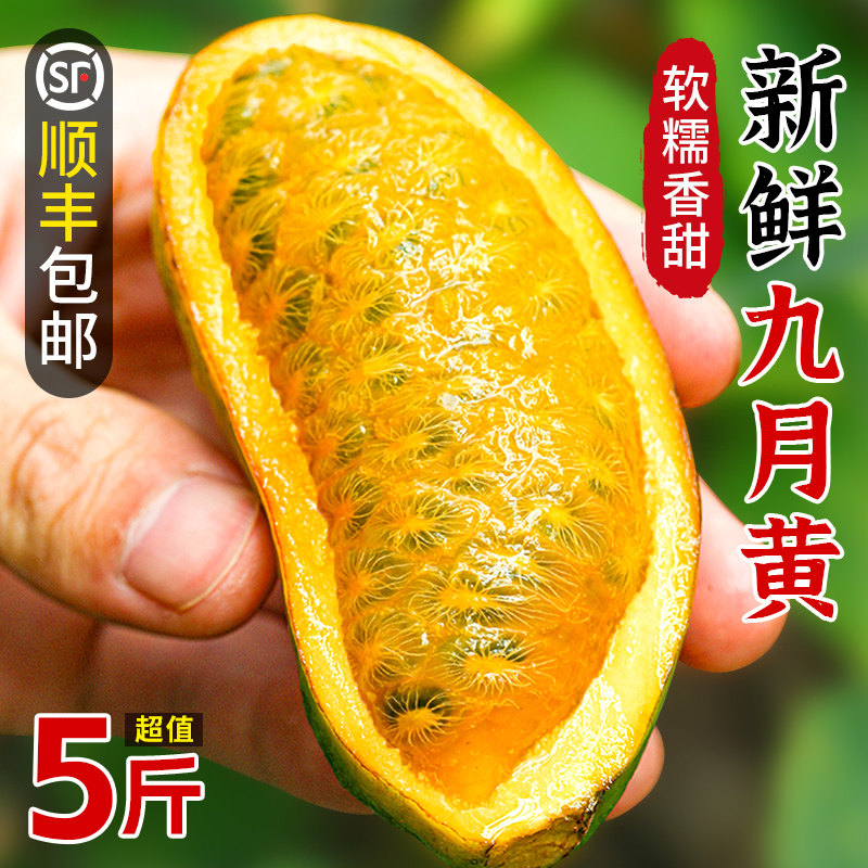 新鲜九月黄5斤应季水果拿麻藤包牛卵坨八月瓜木通果特产9顺丰包邮