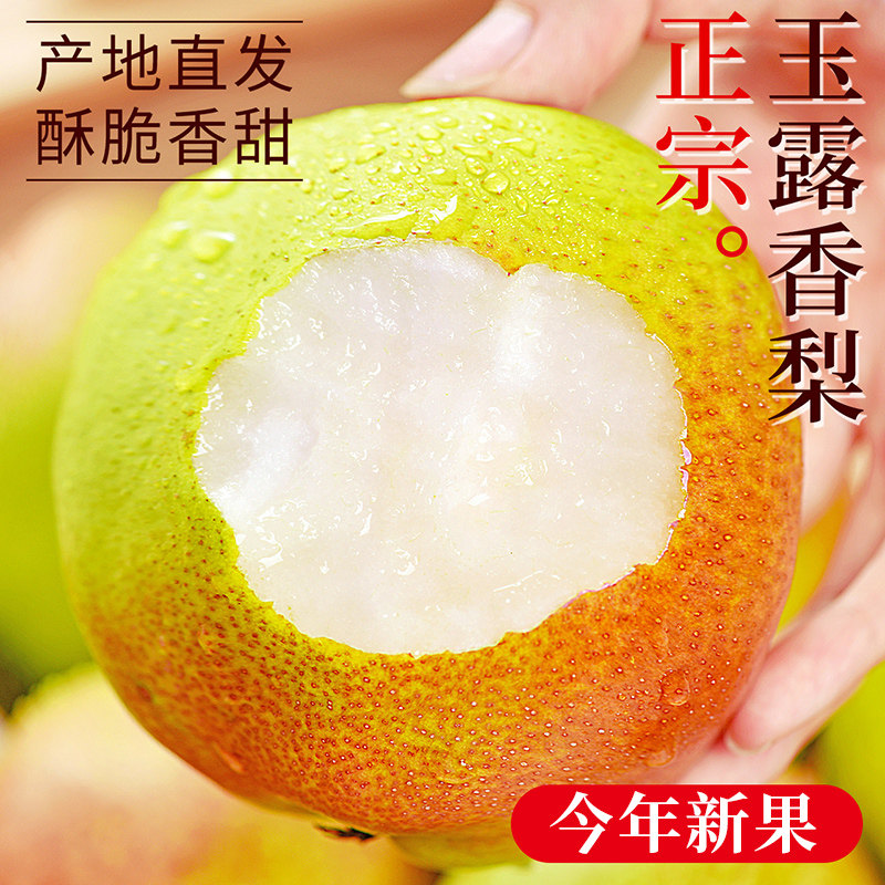 正宗玉露香梨产地直发