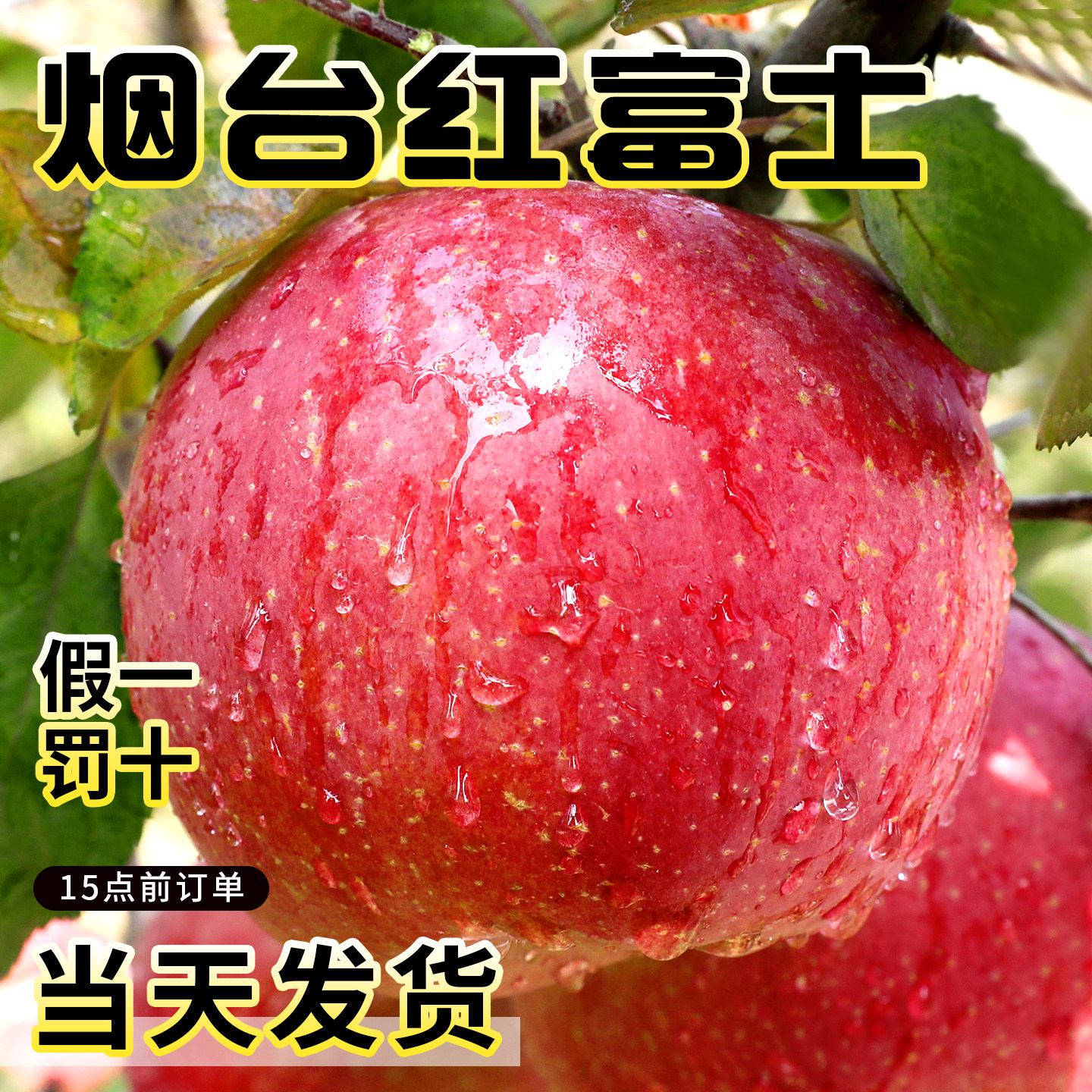 烟台红富士苹果10应当季斤新鲜水果整箱山东栖霞脆甜冰糖心丑平果