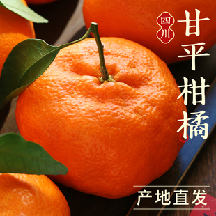 新鲜甘平柑橘当季水果现摘砂糖柑橘时令冰糖蜜橘甜桔大果整箱包邮