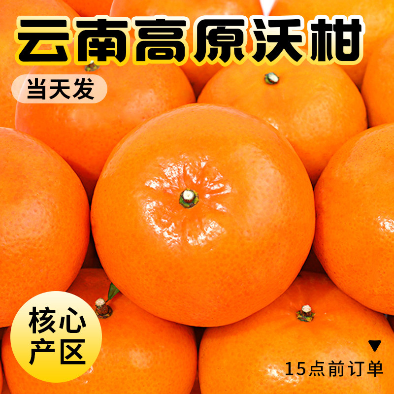 云南高山沃柑新鲜水果年货当季整箱10沙糖斤蜜橘砂糖柑橘桔子橘5
