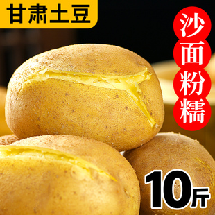 包邮 甘肃定西土豆新鲜洋芋10斤湖北当季 蔬菜整箱黄心迷你马铃薯