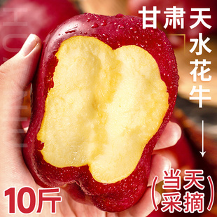 花牛苹果正宗甘肃天水10斤水果新鲜整箱当季糖心红蛇粉面丑平安果