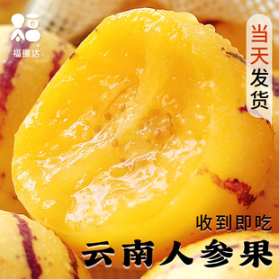 云南石林人参果10新鲜应当季水果七彩整箱人心斤人叁黄肉人生包邮