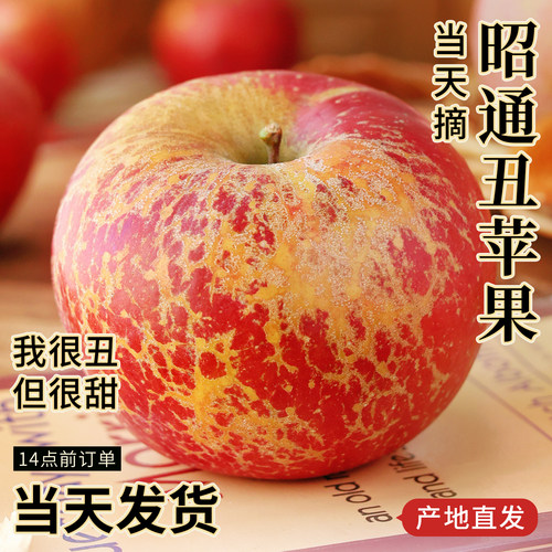 【产地直发】正宗昭通丑苹果！
