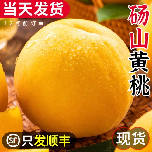 【只发顺丰】砀山黄桃！脆甜！