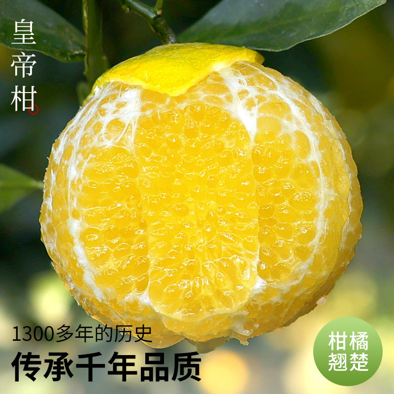 【官方推荐】正宗广西皇帝柑大果