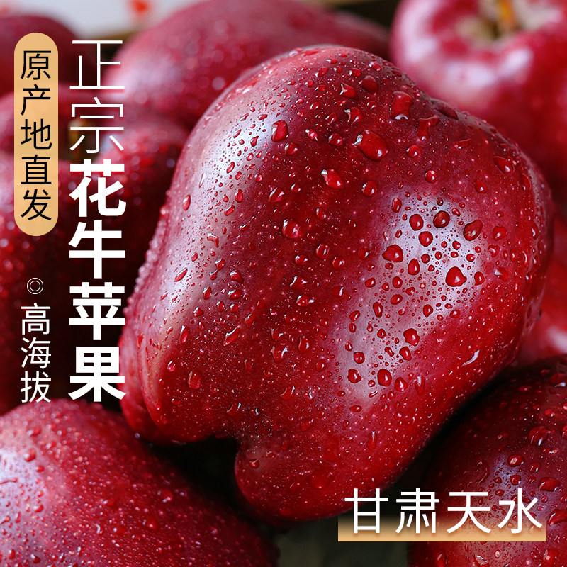 花牛苹果正宗甘肃天水10斤水果新鲜整箱当季糖心红蛇粉面丑平安果