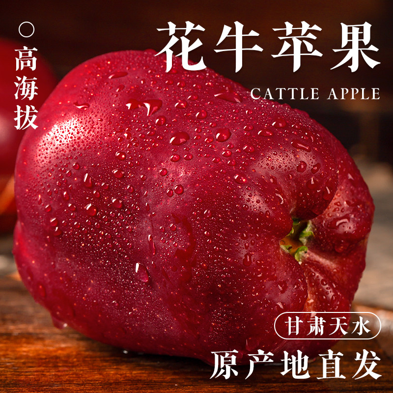 花牛苹果正宗甘肃天水10斤水果新鲜整箱当季糖心红蛇粉面丑平安果