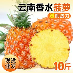 云南香水小菠萝新鲜水果10斤应当季手撕凤梨金钻波罗粉色整箱包邮
