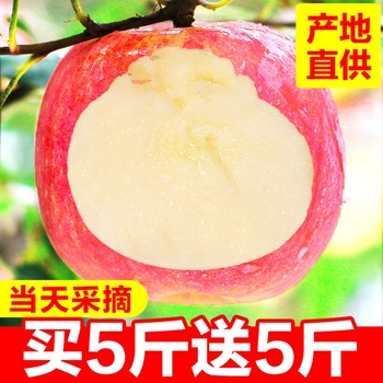苹果水果新鲜包邮当季红富士整箱10斤批发丑青萍果现摘应季冰糖心