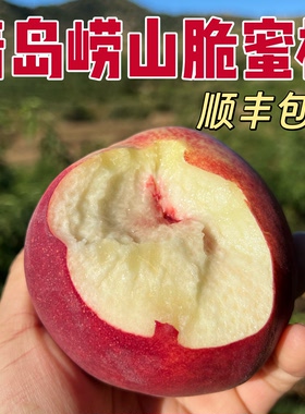 现摘青岛金秋红蜜桃子脆甜山东秋冬硬桃脆蜜桃应季新鲜水果包顺丰